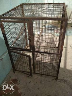 5'x5' cage for birds