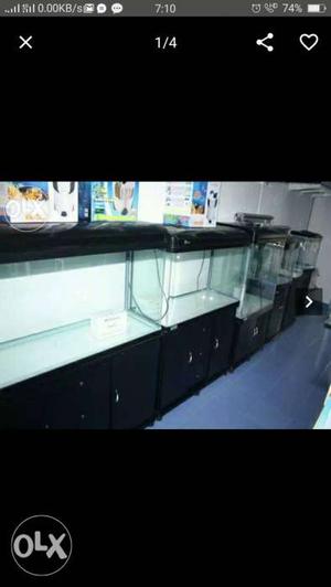 All types New verity fish and molded tank cmd