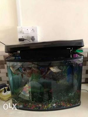 Brand New Fish Tank For Sale.. Purchased A Month Ago.. With
