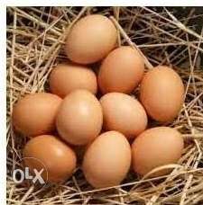 Desi Poultry Eggs,Rs 50 for 6 Eggs