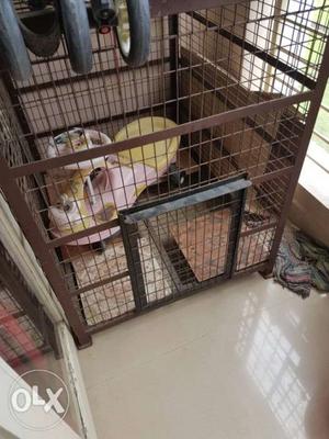 Dog cage for sale 4ft height and 3 ft width