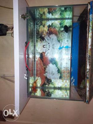 Excellent condition fishtank, 18''/6'' inch, with