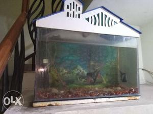 Fish Aquarium dimension cm with water