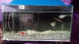 Fish Aquarium with pump and light, gravels and