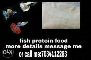 Fish Protein Food Text Overlay