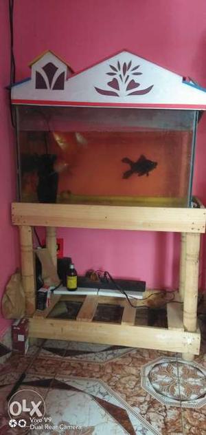 Fish tank and stand with house
