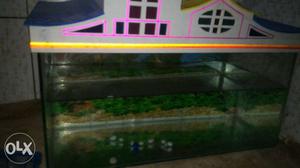 Fish tank with 2kg sand and 3 kg stone size of tank 2x1x1