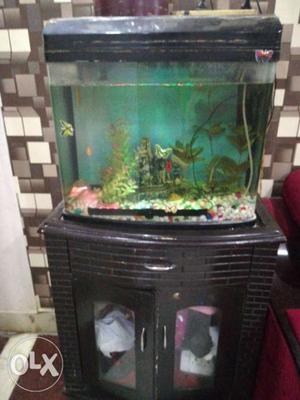 Fish tank with cabinet