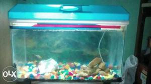 Rectangular Fish Tank