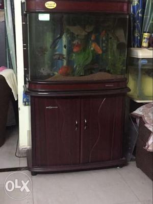 Size 3ft molded aquarium with cabinet only + one