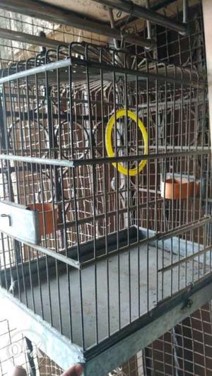 Steel bird cage