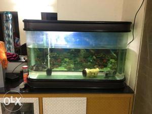 Used Fish Tank for Sales