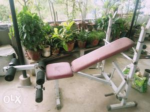 Bench press Gym equipment