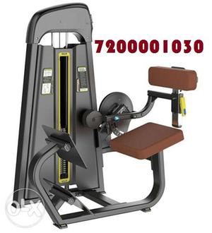 Gym Equipment Back Extension Machine Available For Bolsfit