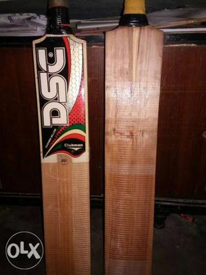 Kashmir willow DSC bat, 2months old other Nick 1