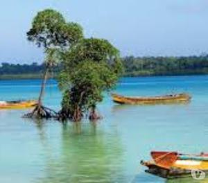 Kerala 4 Nights - Couple Special (Online Only) 4 Nights 5
