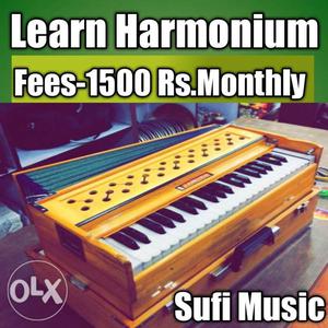 Learn Harmonium.. sufi Music no Home Tutions