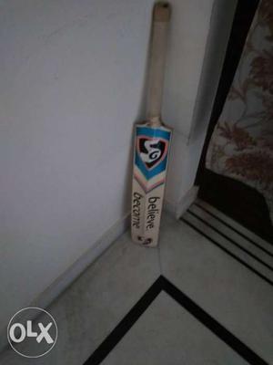 SG Cricket bat 1 year old (Kashmir willow)