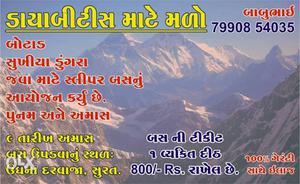 Botad Bhavnagar pase ritan tikit 800 Brown Mountains With