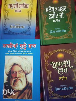 Punjabi literature optional both paper Books for