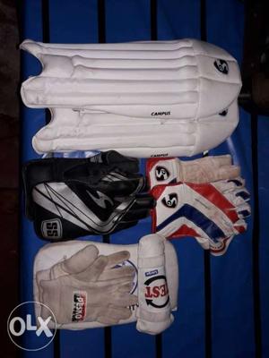 SG keeping pads 1 set. SG keeping gloves 1set.