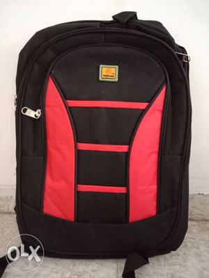 Traveling bag and school bag