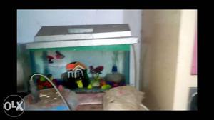 1 ft aquarium, motor,filter, cat fsh,2pc
