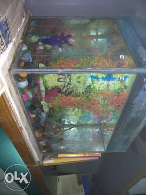 1 ft aquarium with hood at a reasonable price !!