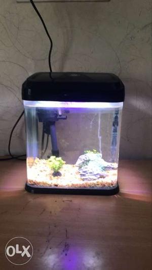 2 aquariums with whole set up