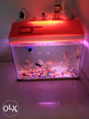 2feet by 16 inches aquarium with fish and pump.