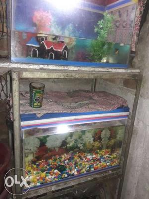 2feet two fish tank & stand and with a 4.5inch