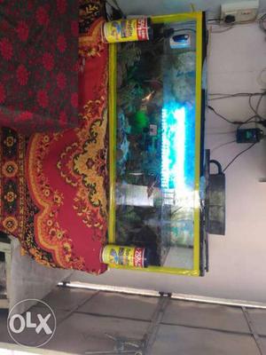 4' *2'6" aquarium with full in condition and full