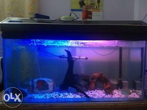 4 feet aquarium up for sale along with wooden stand