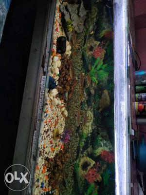 4.ft bay 1.2 ft height 1.6 ft good sell low price aquarium