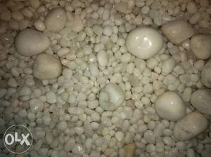 45 Kgs Polished white pebbles for decoration at