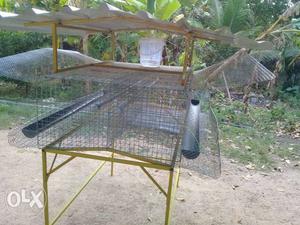 All type of HEN CAGES