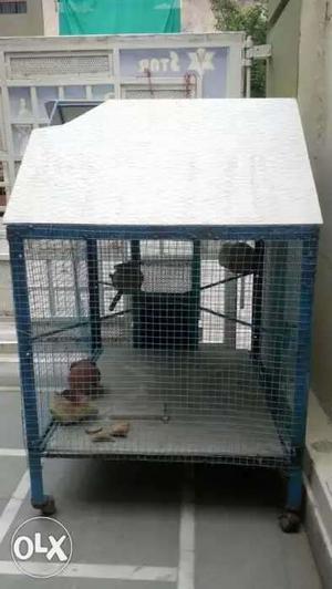 Bird Cage, made with steel n cera board