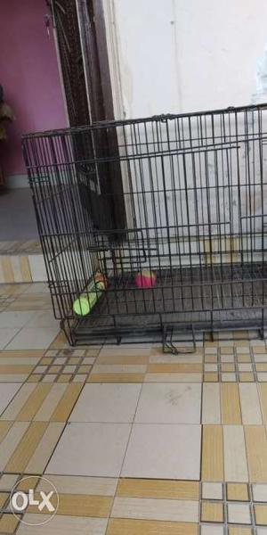 Black Steel Collapsible Pet Cage