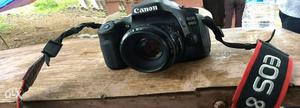 Canon 80d 7moth old with 50 mm lence charger &