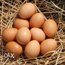 Farm fresh eggs (Gavran, Giriraj,)