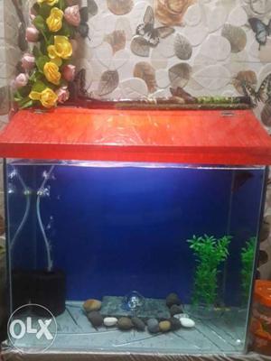 Fish Aquarium for sell with all