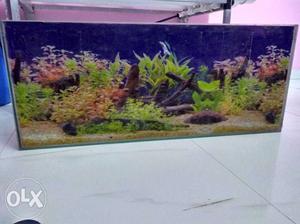 Fish Tank 3 ×1.5 very good condition.