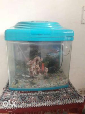 Fish Tank With Blue Cover