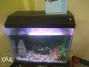Fish aquarium fully set up with iron stand and 2