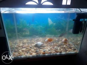 Fish aquarium new one size is 20 by 28 width 18
