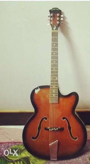 Hobner f shape guitar with Daddario string's and