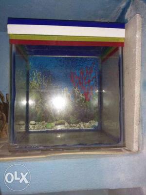 It's a small (')aquarium with deep blue