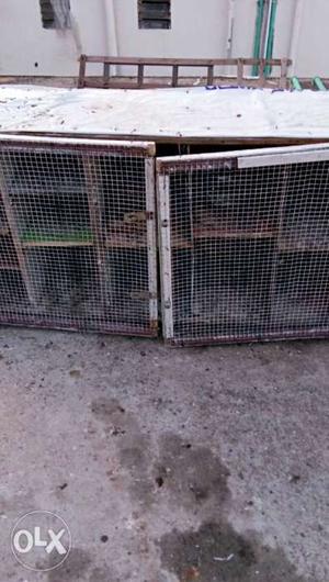 My pigeons cage for sale