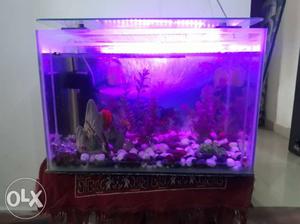 Only 3 months old fish aquarium new condition
