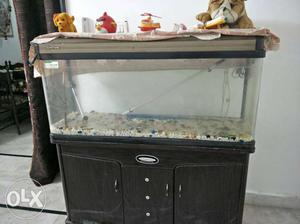 Rectangular Black Framed Pet Tank And Wooden Cabinet Stand